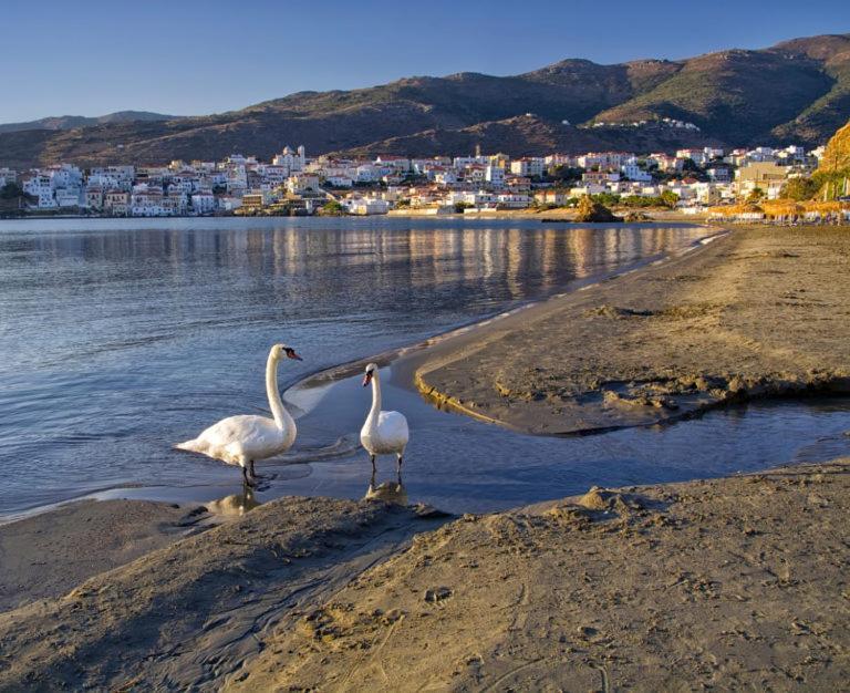 Πλατανακι 1 Family Friendly Villa Andros Town Exterior photo